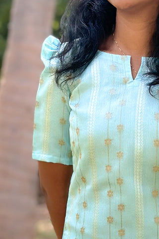 Organza with gold zari kurti